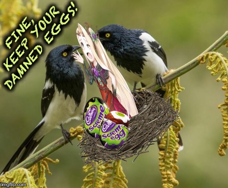 FINE, KEEP YOUR DAMNED EGGS! | image tagged in birds,faery,fairy,ivanho | made w/ Imgflip meme maker