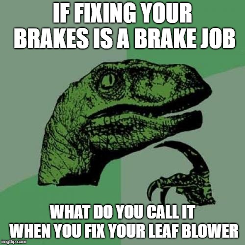 Philosoraptor Meme | IF FIXING YOUR BRAKES IS A BRAKE JOB; WHAT DO YOU CALL IT WHEN YOU FIX YOUR LEAF BLOWER | image tagged in memes,philosoraptor | made w/ Imgflip meme maker
