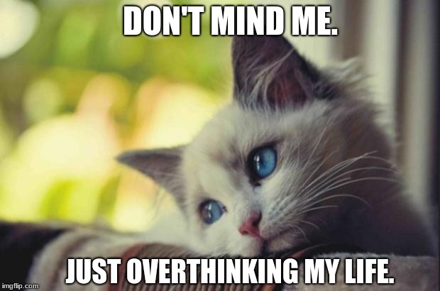Sad cat | DON'T MIND ME. JUST OVERTHINKING MY LIFE. | image tagged in sad cat | made w/ Imgflip meme maker