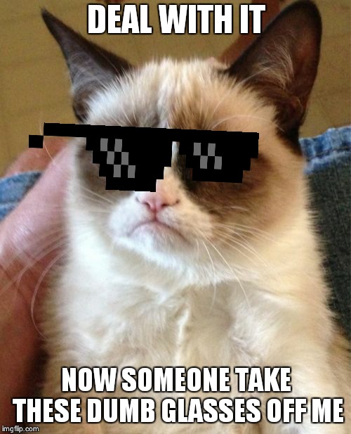 Grumpy Cat Meme | DEAL WITH IT; NOW SOMEONE TAKE THESE DUMB GLASSES OFF ME | image tagged in memes,grumpy cat | made w/ Imgflip meme maker