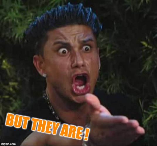 Jersey shore  | BUT THEY ARE ! | image tagged in jersey shore | made w/ Imgflip meme maker