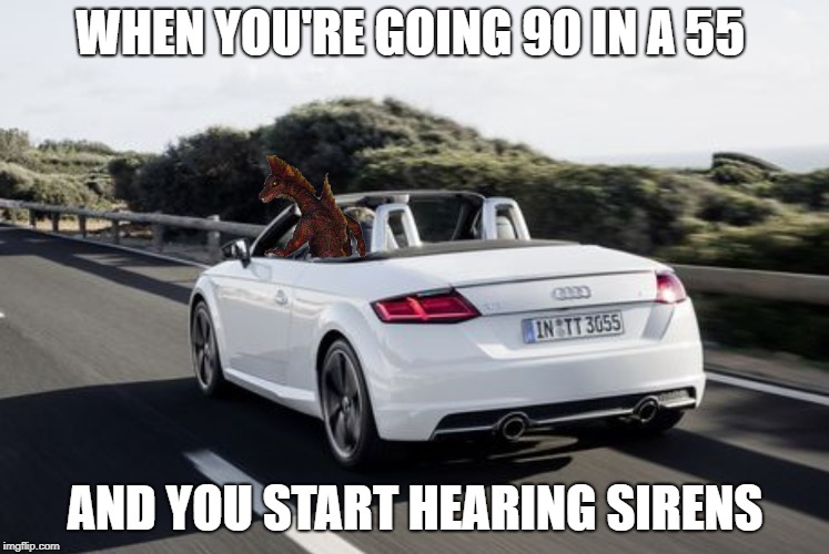 Titanosaurus Speeding Meme  | WHEN YOU'RE GOING 90 IN A 55; AND YOU START HEARING SIRENS | image tagged in godzilla | made w/ Imgflip meme maker