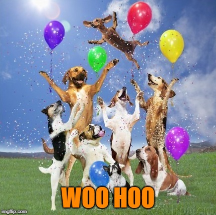 WOO HOO | made w/ Imgflip meme maker