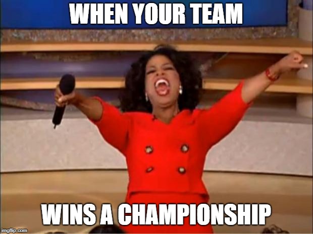 Oprah You Get A Meme | WHEN YOUR TEAM; WINS A CHAMPIONSHIP | image tagged in memes,oprah you get a | made w/ Imgflip meme maker