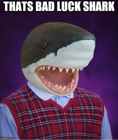 Bad Luck Shark | THATS BAD LUCK SHARK | image tagged in bad luck shark | made w/ Imgflip meme maker