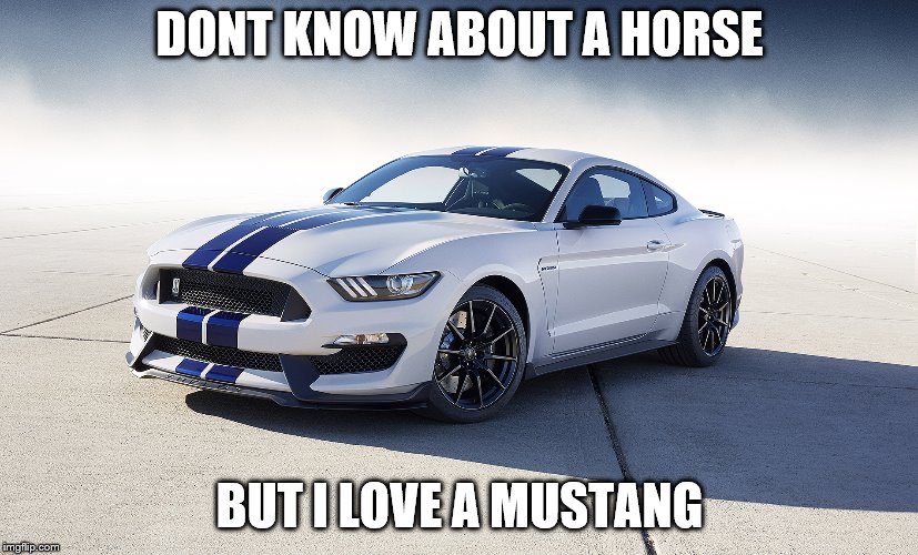 2015 Ford Mustang GT350 | DONT KNOW ABOUT A HORSE BUT I LOVE A MUSTANG | image tagged in 2015 ford mustang gt350 | made w/ Imgflip meme maker