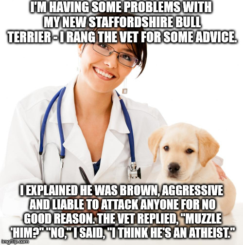 Veterinarian | I'M HAVING SOME PROBLEMS WITH MY NEW STAFFORDSHIRE BULL TERRIER - I RANG THE VET FOR SOME ADVICE. I EXPLAINED HE WAS BROWN, AGGRESSIVE AND LIABLE TO ATTACK ANYONE FOR NO GOOD REASON. THE VET REPLIED, "MUZZLE 'HIM?" "NO," I SAID, "I THINK HE'S AN ATHEIST." | image tagged in veterinarian | made w/ Imgflip meme maker