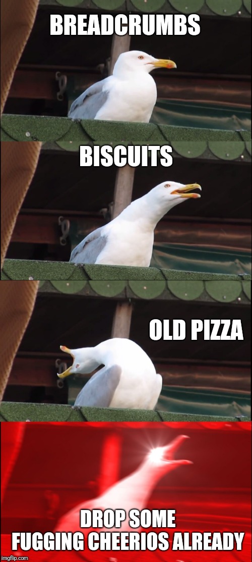 When you can't have the breakfast you had in mind since dinner. | BREADCRUMBS; BISCUITS; OLD PIZZA; DROP SOME FUGGING CHEERIOS ALREADY | image tagged in memes,inhaling seagull | made w/ Imgflip meme maker