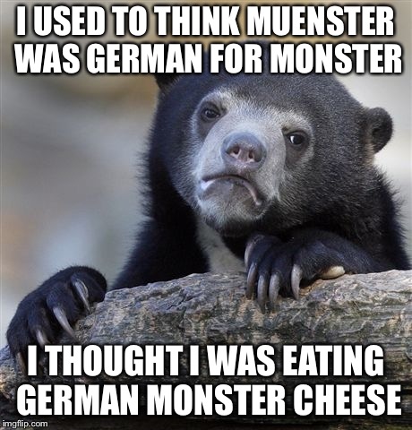 Confession Bear | I USED TO THINK MUENSTER WAS GERMAN FOR MONSTER; I THOUGHT I WAS EATING GERMAN MONSTER CHEESE | image tagged in memes,confession bear | made w/ Imgflip meme maker