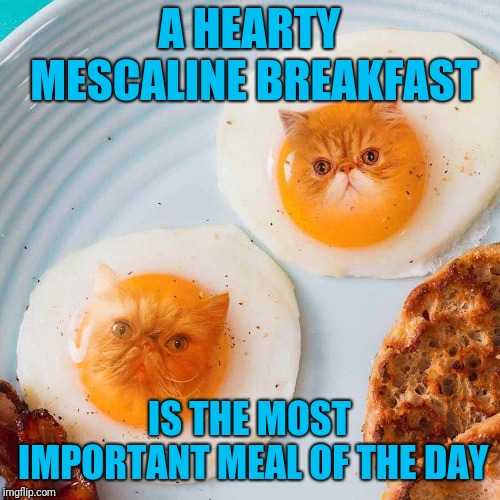 Don't Forget The Hash Browns | A HEARTY MESCALINE BREAKFAST; IS THE MOST IMPORTANT MEAL OF THE DAY | image tagged in breakfast,eggs,cats,stoned,drugs | made w/ Imgflip meme maker