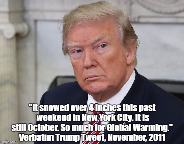 "It snowed over 4 inches this past weekend in New York City. It is still October. So much for Global Warming." Verbatim Trump Tweet, Novembe | made w/ Imgflip meme maker