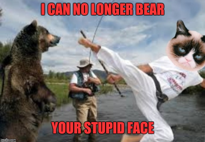 Grumpy Fighter | I CAN NO LONGER BEAR; YOUR STUPID FACE | image tagged in memes,funny,grumpy cat,kung fu,bears,pun intended | made w/ Imgflip meme maker