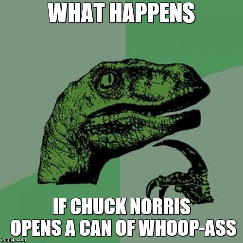 Would there be twice as much whoop-ass, or would it cancel out? | WHAT HAPPENS; IF CHUCK NORRIS OPENS A CAN OF WHOOP-ASS | image tagged in memes,philosoraptor,chuck norris,whoop ass | made w/ Imgflip meme maker