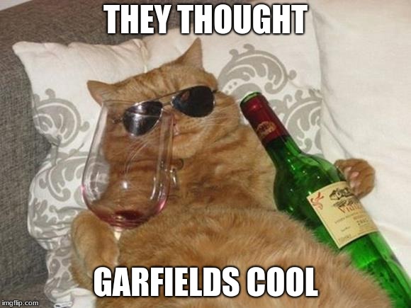 Funny Cat Birthday | THEY THOUGHT; GARFIELDS COOL | image tagged in funny cat birthday | made w/ Imgflip meme maker