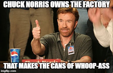 Chuck Norris Approves Meme | CHUCK NORRIS OWNS THE FACTORY THAT MAKES THE CANS OF WHOOP-ASS | image tagged in memes,chuck norris approves,chuck norris | made w/ Imgflip meme maker