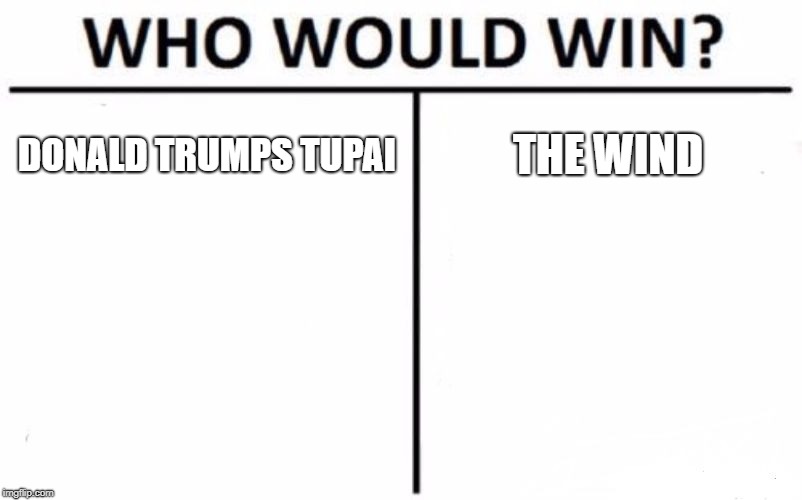 Who Would Win? | DONALD TRUMPS TUPAI; THE WIND | image tagged in memes,who would win | made w/ Imgflip meme maker