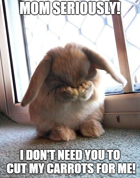 embarrassed bunny | MOM SERIOUSLY! I DON'T NEED YOU TO CUT MY CARROTS FOR ME! | image tagged in embarrassed bunny | made w/ Imgflip meme maker