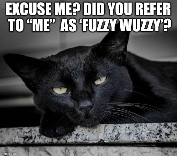 EXCUSE ME? DID YOU REFER TO “ME”  AS ‘FUZZY WUZZY’? | made w/ Imgflip meme maker