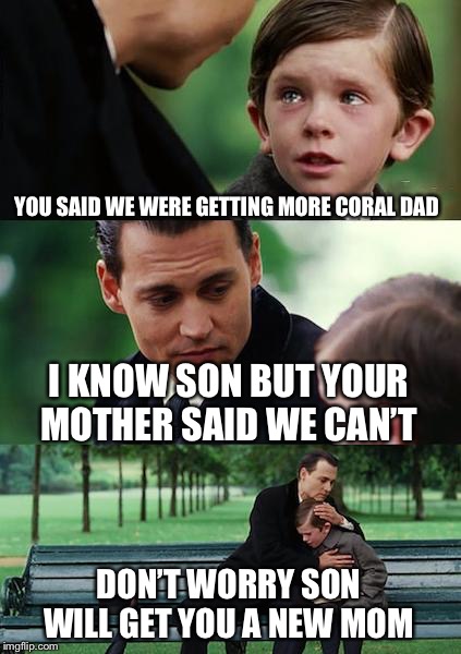 Finding Neverland Meme | YOU SAID WE WERE GETTING MORE CORAL DAD; I KNOW SON BUT YOUR MOTHER SAID WE CAN’T; DON’T WORRY SON WILL GET YOU A NEW MOM | image tagged in memes,finding neverland | made w/ Imgflip meme maker