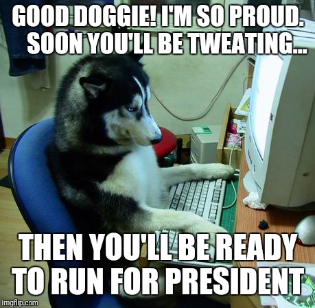 I Have No Idea What I Am Doing | GOOD DOGGIE! I'M SO PROUD. 
  SOON YOU'LL BE TWEATING... THEN YOU'LL BE READY TO RUN FOR PRESIDENT | image tagged in memes,i have no idea what i am doing | made w/ Imgflip meme maker