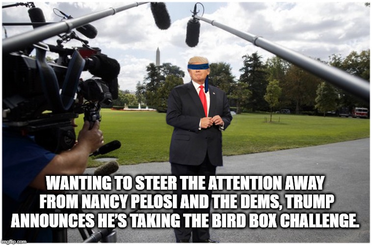 1st President in History To Take The Bird Box Challenge! | WANTING TO STEER THE ATTENTION AWAY FROM NANCY PELOSI AND THE DEMS, TRUMP ANNOUNCES HE’S TAKING THE BIRD BOX CHALLENGE. | image tagged in donald trump,bird box,challenge,whitehouse,trump is a moron | made w/ Imgflip meme maker