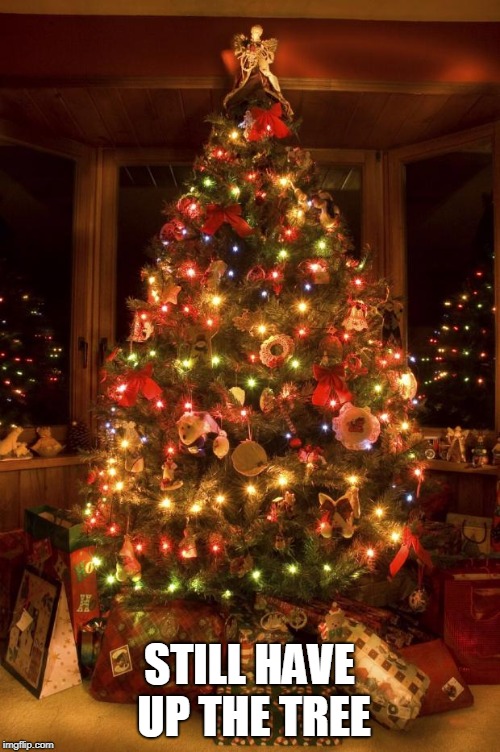 Christmas Tree | STILL HAVE UP THE TREE | image tagged in christmas tree | made w/ Imgflip meme maker
