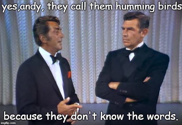 sounds legit ? dean and andy must have had many good times. hummm numm hummnnunn | yes,andy, they call them humming birds; because they don't know the words. | image tagged in andy griffin,dean martin,humming bird pun,meme this | made w/ Imgflip meme maker