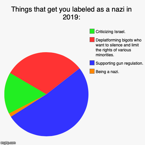 Things that get you labeled as a nazi in 2019: | Being a nazi., Supporting gun regulation., Deplatforming bigots who want to silence and lim | image tagged in funny,pie charts,nazi,israel,gun control,antifa | made w/ Imgflip chart maker
