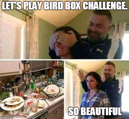 BIRD BOX SURPRISE | LET'S PLAY BIRD BOX CHALLENGE. SO BEAUTIFUL | image tagged in birdbox | made w/ Imgflip meme maker