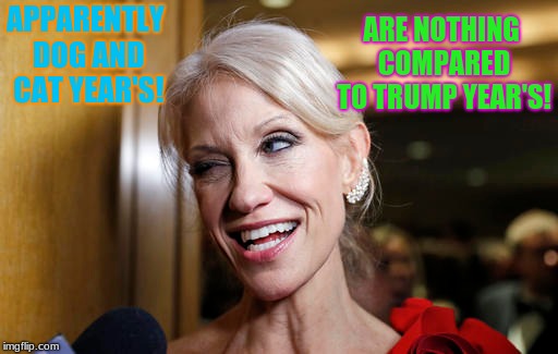 Run while you still can! | ARE NOTHING COMPARED TO TRUMP YEAR'S! APPARENTLY DOG AND CAT YEAR'S! | image tagged in kellyanne conway,donald trump,republicans | made w/ Imgflip meme maker