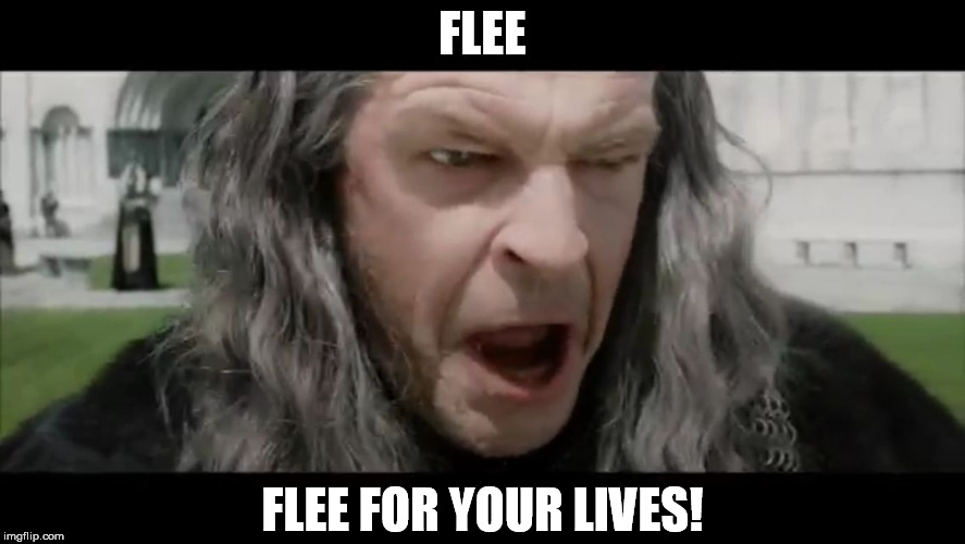 Denethor Flee for Your Lives | FLEE FLEE FOR YOUR LIVES! | image tagged in denethor flee for your lives | made w/ Imgflip meme maker