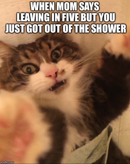 WHEN MOM SAYS LEAVING IN FIVE BUT YOU JUST GOT OUT OF THE SHOWER | image tagged in when mom says leaving in five | made w/ Imgflip meme maker