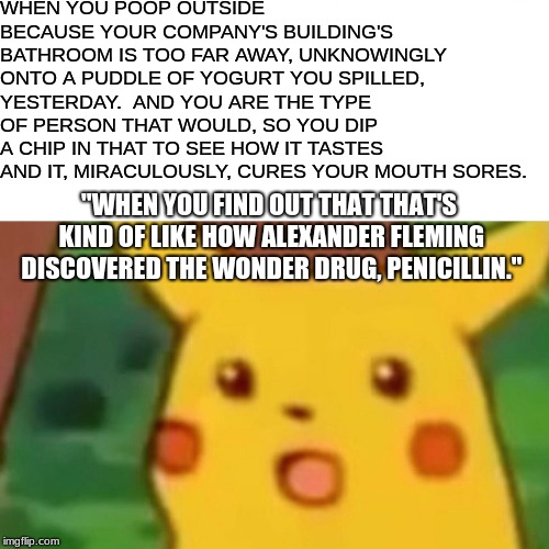 Surprised Pikachu Meme | WHEN YOU POOP OUTSIDE BECAUSE YOUR COMPANY'S BUILDING'S BATHROOM IS TOO FAR AWAY, UNKNOWINGLY ONTO A PUDDLE OF YOGURT YOU SPILLED, YESTERDAY.  AND YOU ARE THE TYPE OF PERSON THAT WOULD, SO YOU DIP A CHIP IN THAT TO SEE HOW IT TASTES AND IT, MIRACULOUSLY, CURES YOUR MOUTH SORES. "WHEN YOU FIND OUT THAT THAT'S KIND OF LIKE HOW ALEXANDER FLEMING DISCOVERED THE WONDER DRUG, PENICILLIN." | image tagged in memes,surprised pikachu | made w/ Imgflip meme maker