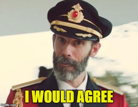 Captain Obvious | I WOULD AGREE | image tagged in captain obvious | made w/ Imgflip meme maker