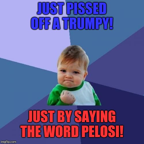 All it took was one word!  So easy! | JUST PISSED OFF A TRUMPY! JUST BY SAYING THE WORD PELOSI! | image tagged in memes,success kid,nancy pelosi,donald trump | made w/ Imgflip meme maker