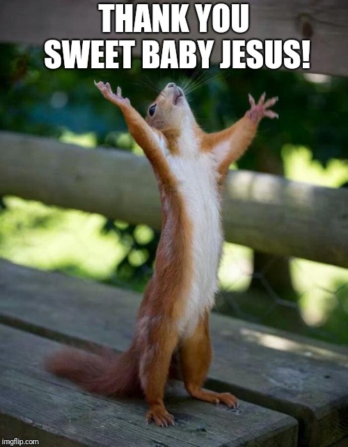 Happy Squirrel | THANK YOU SWEET BABY JESUS! | image tagged in happy squirrel | made w/ Imgflip meme maker