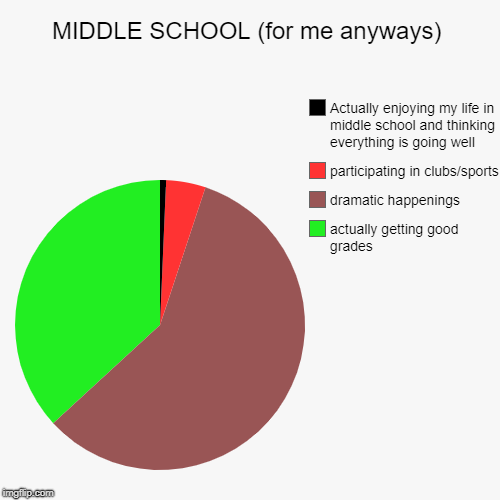 MIDDLE SCHOOL (for me anyways) | actually getting good grades, dramatic happenings, participating in clubs/sports, Actually enjoying my life | image tagged in funny,pie charts | made w/ Imgflip chart maker