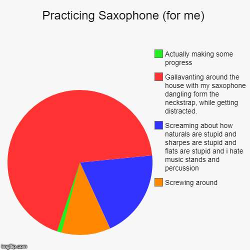 Practicing Saxophone (for me) | Screwing around, Screaming about how naturals are stupid and sharpes are stupid and flats are stupid and i h | image tagged in funny,pie charts | made w/ Imgflip chart maker