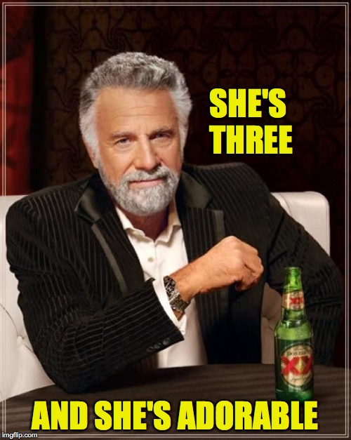 The Most Interesting Man In The World Meme | SHE'S THREE AND SHE'S ADORABLE | image tagged in memes,the most interesting man in the world | made w/ Imgflip meme maker