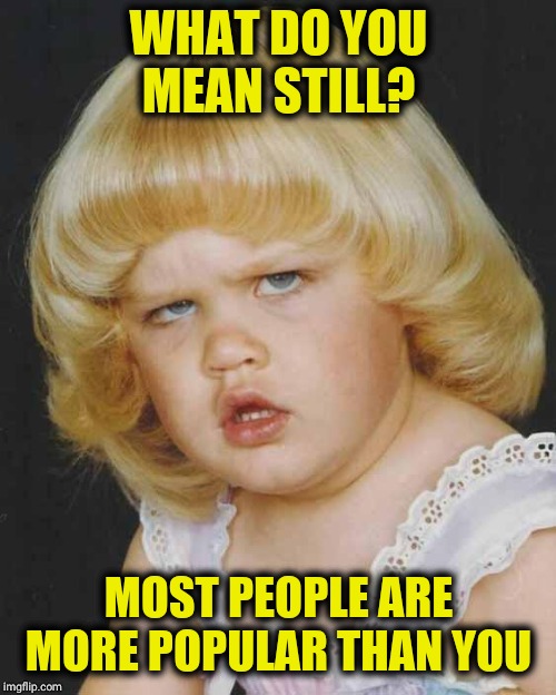 Huh | WHAT DO YOU MEAN STILL? MOST PEOPLE ARE MORE POPULAR THAN YOU | image tagged in huh | made w/ Imgflip meme maker