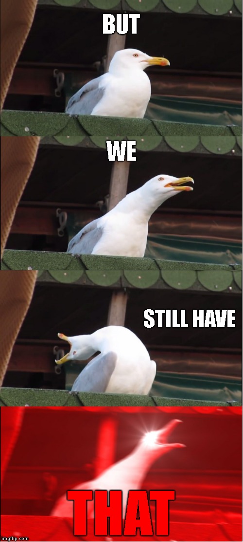 Inhaling Seagull Meme | BUT WE STILL HAVE THAT | image tagged in memes,inhaling seagull | made w/ Imgflip meme maker