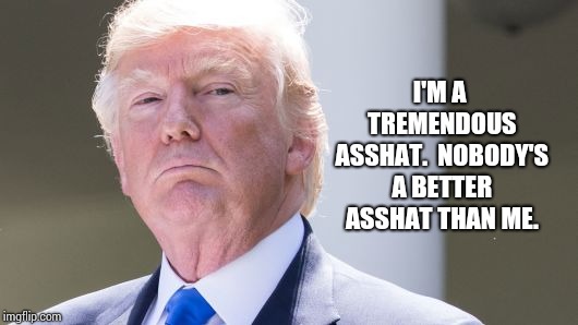 I'M A TREMENDOUS ASSHAT.  NOBODY'S A BETTER ASSHAT THAN ME. | made w/ Imgflip meme maker