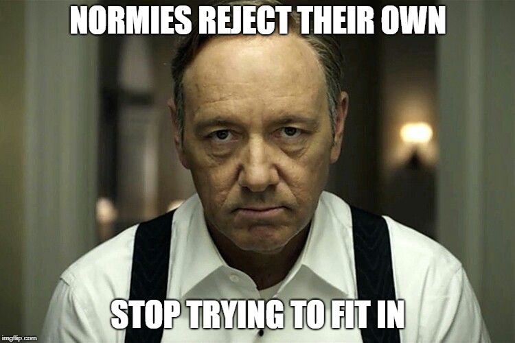 Normies Rejection | NORMIES REJECT THEIR OWN; STOP TRYING TO FIT IN | image tagged in normie,memes,funny memes,normal,kevin spacey,money | made w/ Imgflip meme maker