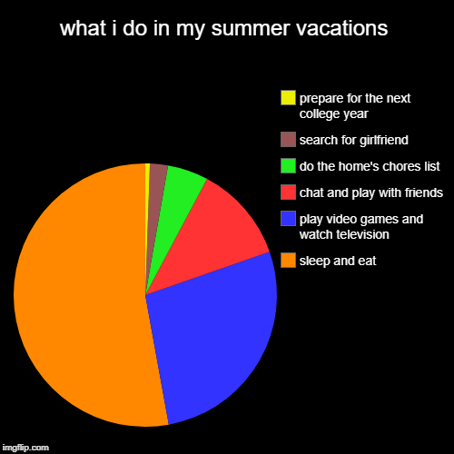 what i do in my summer vacations | sleep and eat, play video games and watch television, chat and play with friends, do the home's chores li | image tagged in funny,pie charts | made w/ Imgflip chart maker