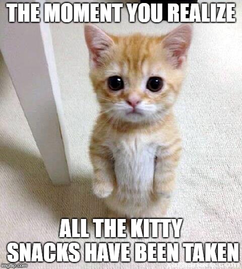 Cute Cat Meme | THE MOMENT YOU REALIZE; ALL THE KITTY SNACKS HAVE BEEN TAKEN | image tagged in memes,cute cat | made w/ Imgflip meme maker