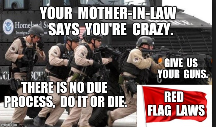YOUR  MOTHER-IN-LAW  SAYS  YOU'RE  CRAZY. GIVE  US  YOUR  GUNS. THERE IS NO DUE PROCESS,  DO IT OR DIE. RED  FLAG  LAWS | image tagged in mother in law,crazy,red flag law | made w/ Imgflip meme maker
