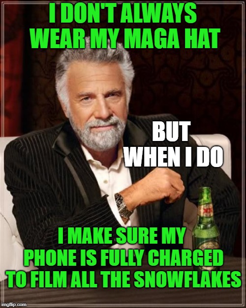 The Most Interesting Man In The World Meme | I DON'T ALWAYS WEAR MY MAGA HAT I MAKE SURE MY PHONE IS FULLY CHARGED TO FILM ALL THE SNOWFLAKES BUT WHEN I DO | image tagged in memes,the most interesting man in the world | made w/ Imgflip meme maker