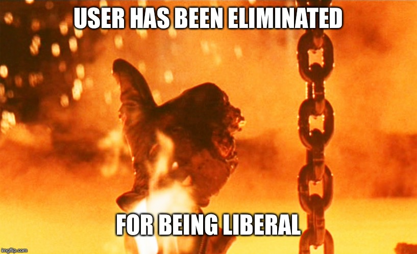 Terminator2 | USER HAS BEEN ELIMINATED; FOR BEING LIBERAL | image tagged in terminator2 | made w/ Imgflip meme maker