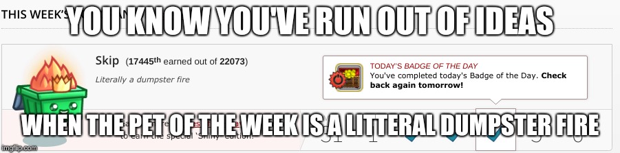 this is an actual thing on kongregate | YOU KNOW YOU'VE RUN OUT OF IDEAS; WHEN THE PET OF THE WEEK IS A LITTERAL DUMPSTER FIRE | image tagged in pet of the week,dumpster fire,kongregate | made w/ Imgflip meme maker