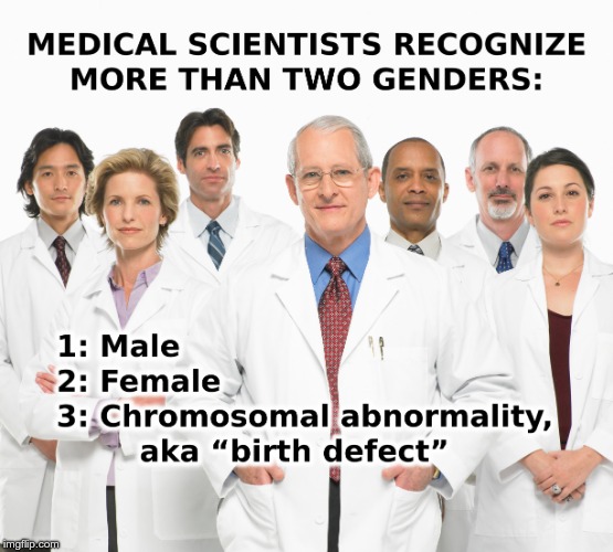 More than two genders | . | image tagged in 2 genders | made w/ Imgflip meme maker